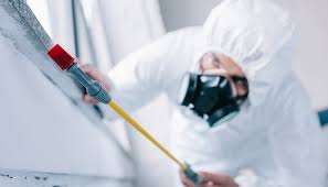 Best Pest Exclusion Services  in Baldwinsville, NY